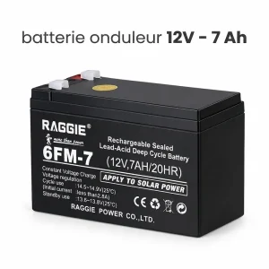 Batterie onduleur Raggie 12V 7Ah plomb AGM scellée